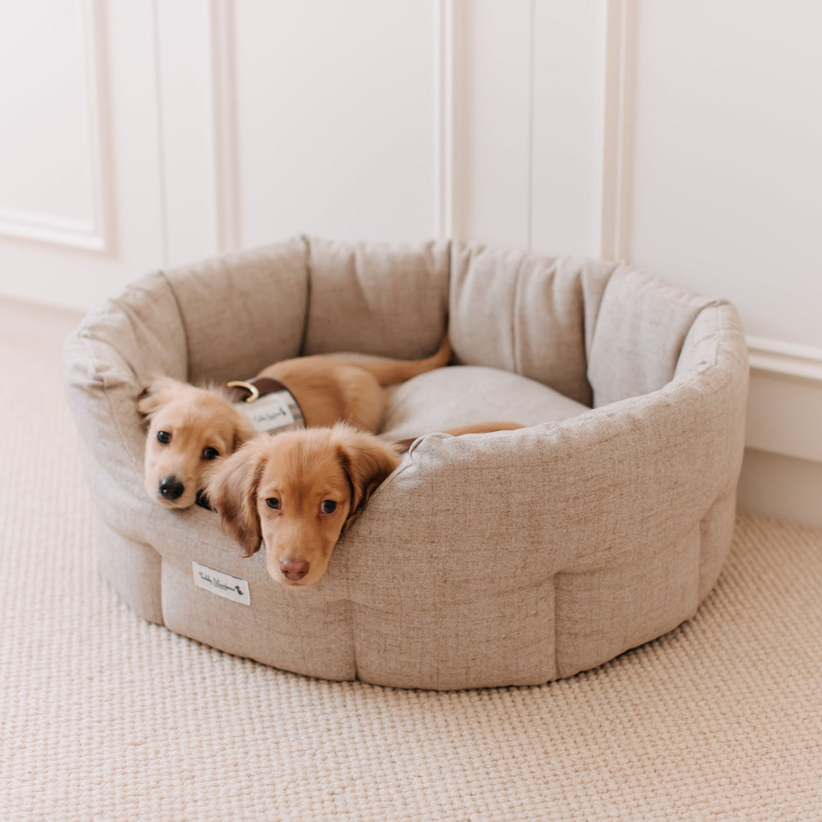 &#39;The Richmond&#39; Deco Nest Luxury Dog Bed
