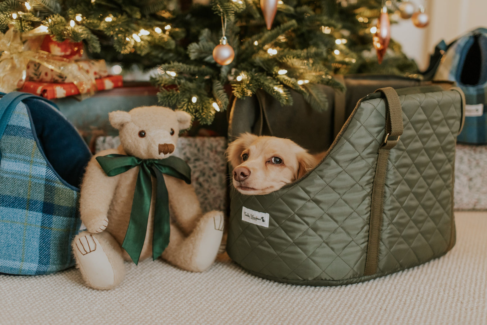 Olive green Teddy Maximus pet carrier