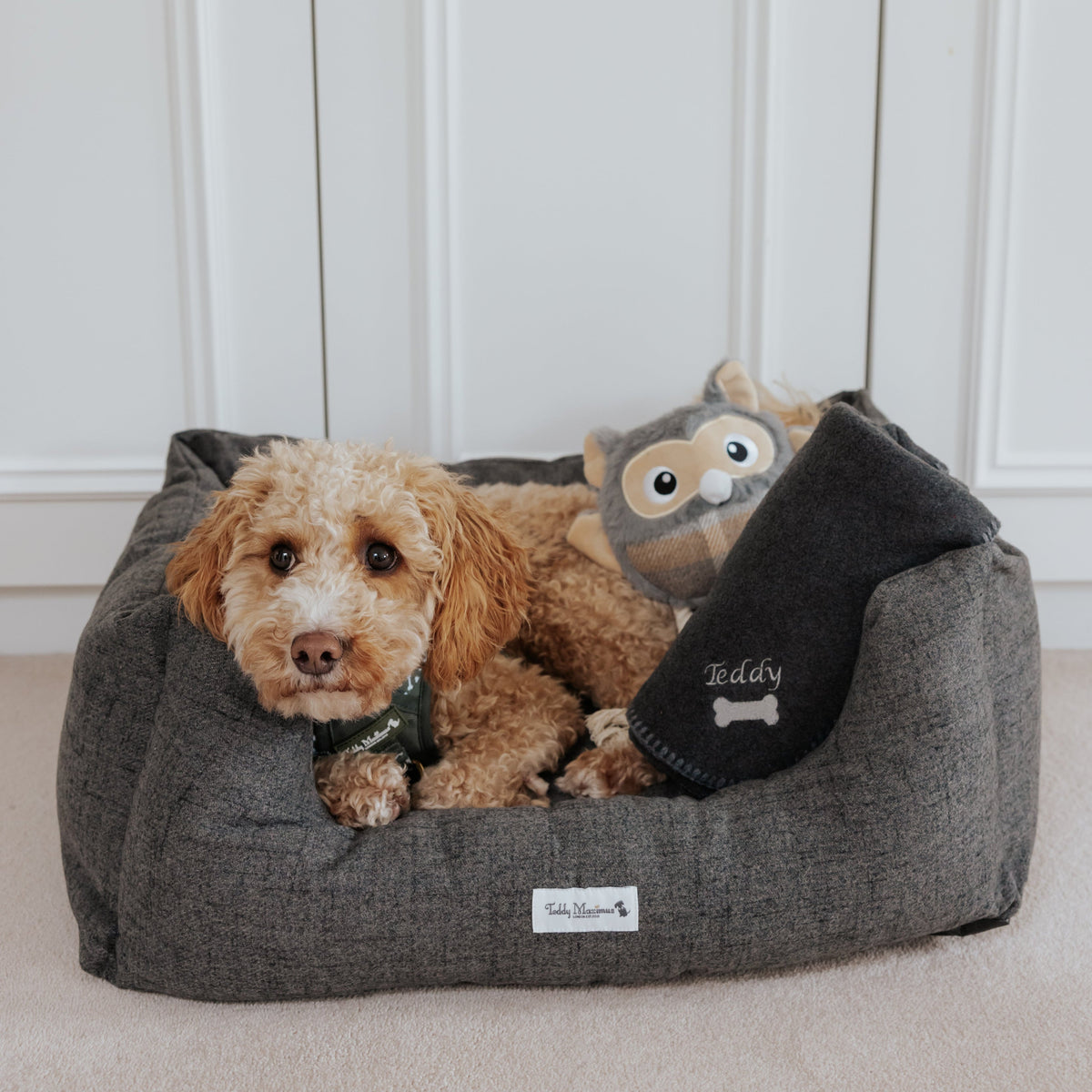 The James Dark Grey Rectangle Dog Bed