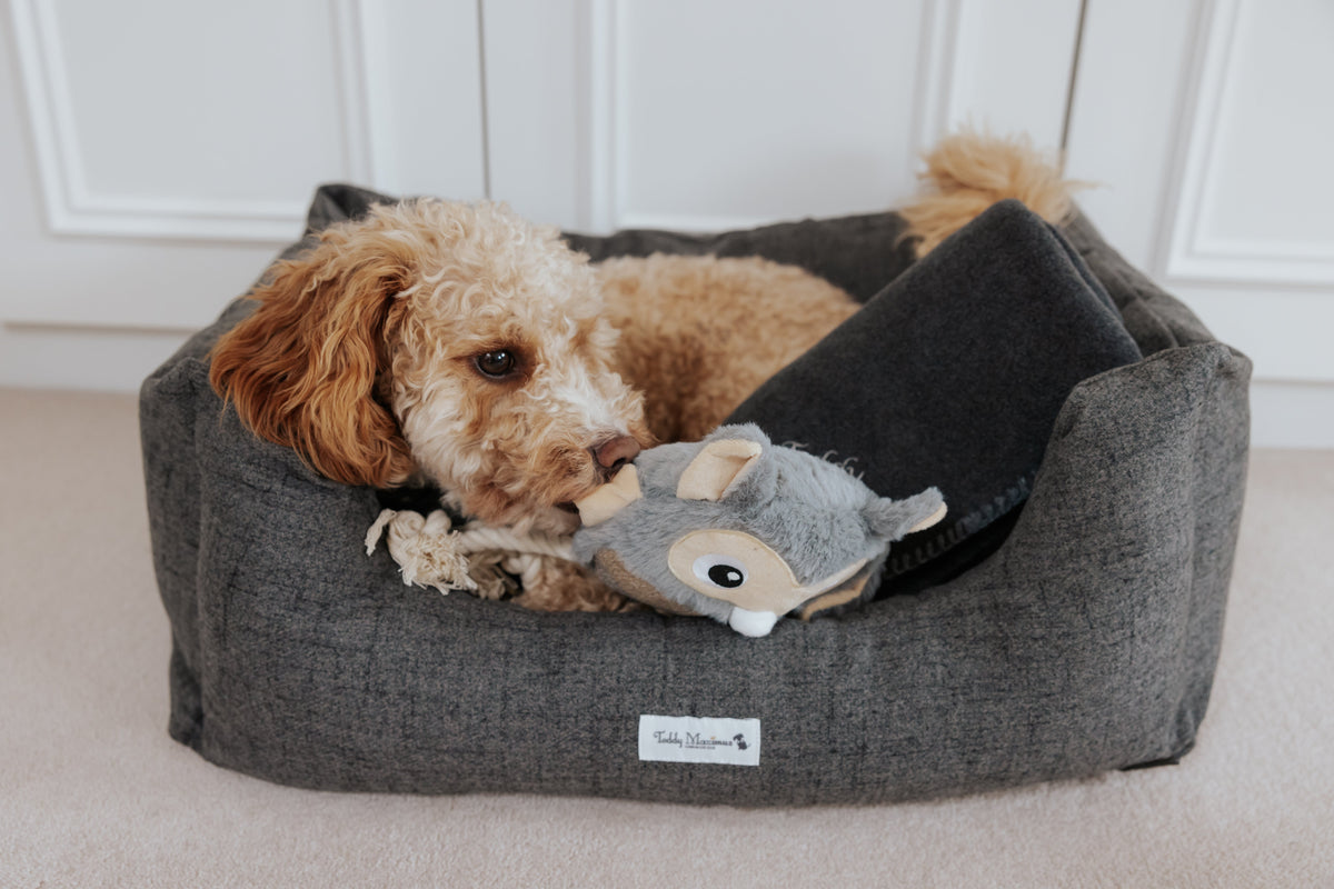 The James Dark Grey Rectangle Dog Bed