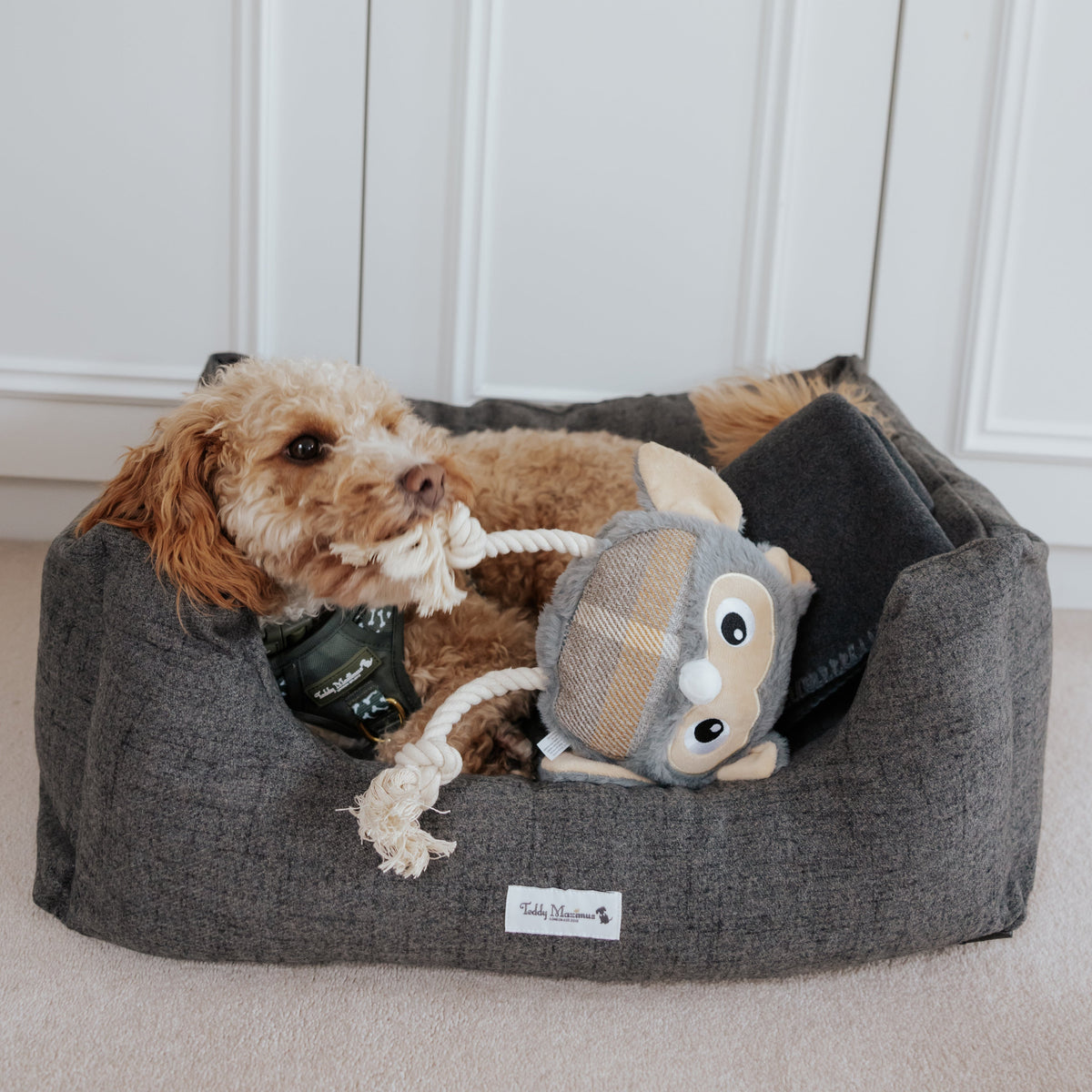 The James Dark Grey Rectangle Dog Bed