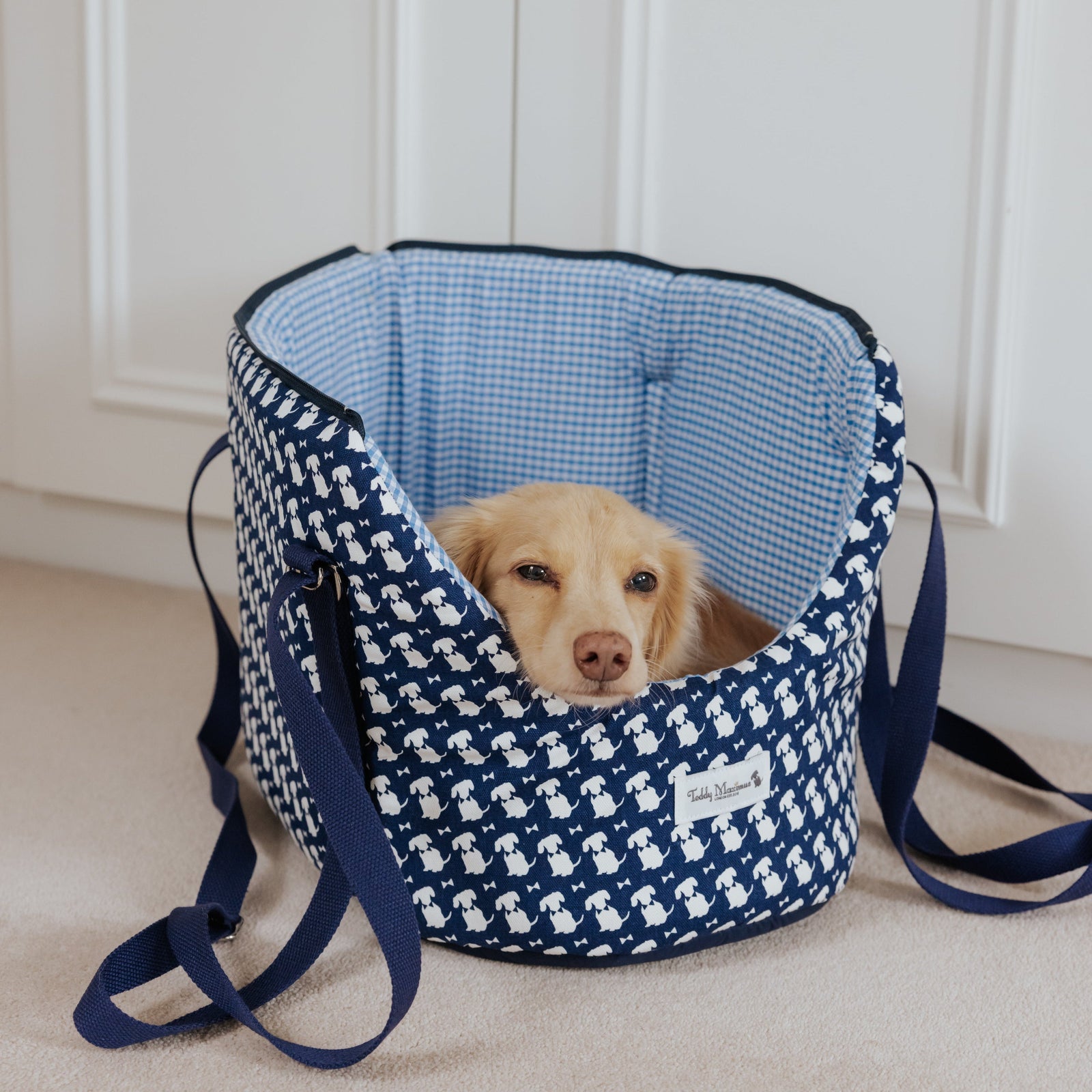 Signature Print Limited Edition Dog Carrier