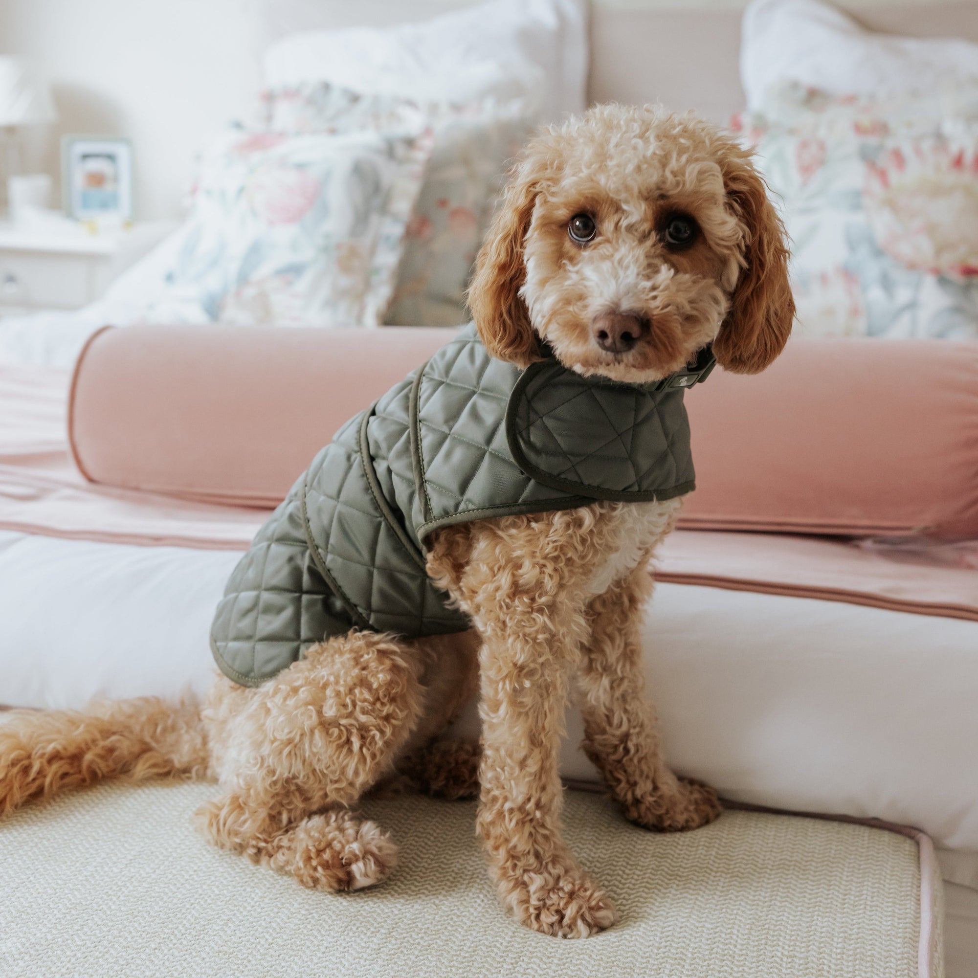 The Explorer Cosy Quilted Luxury Dog Coat