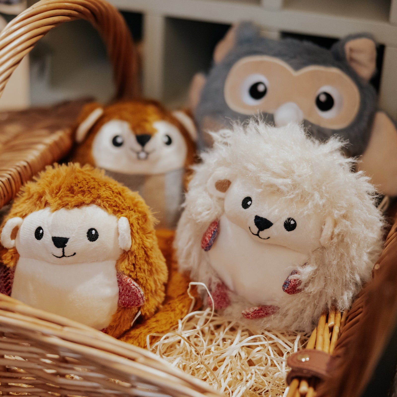 Sammy the Squirrel Squeeky Dog Toy