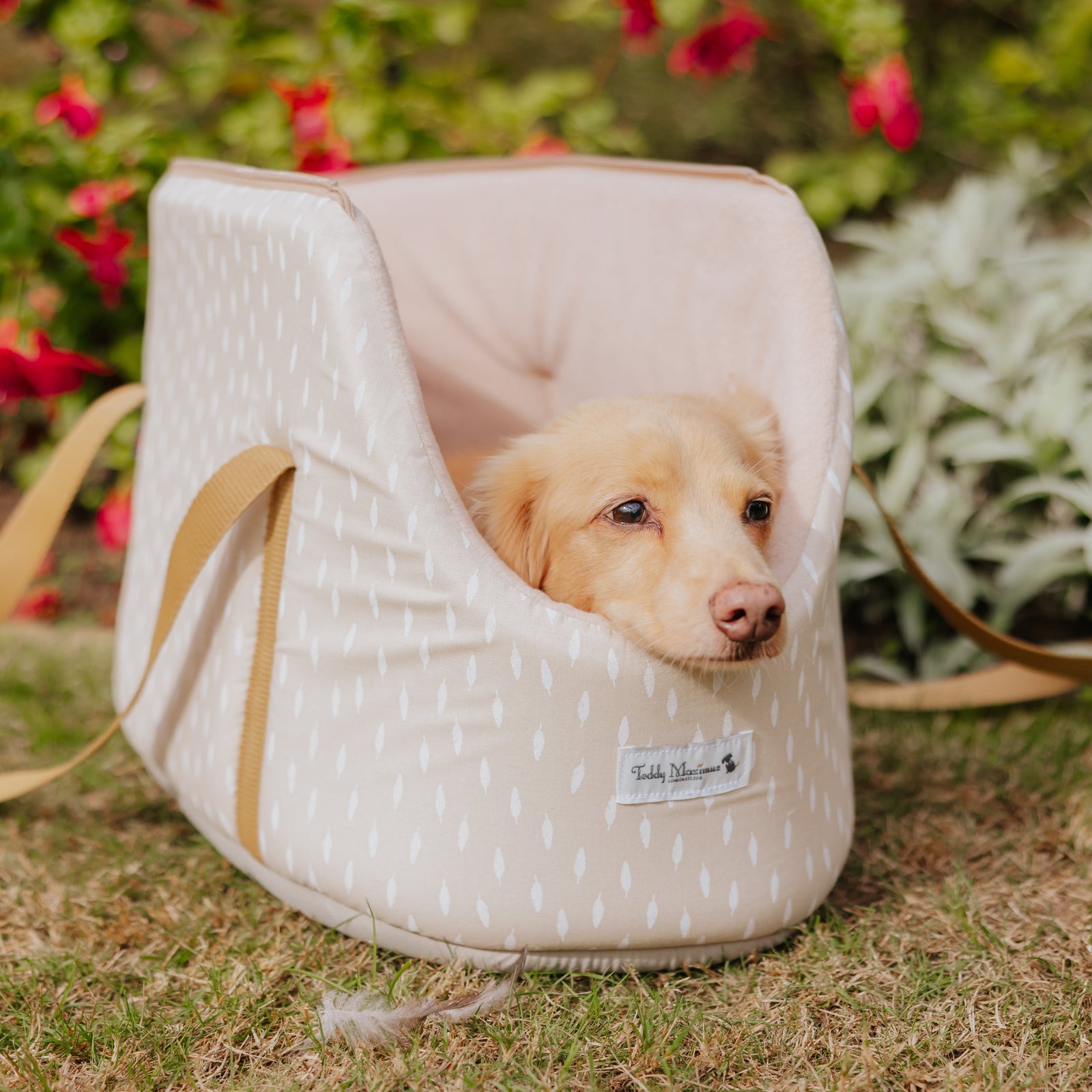 ‘Gentle Nest’ Feather Print Taupe Dog Carrier