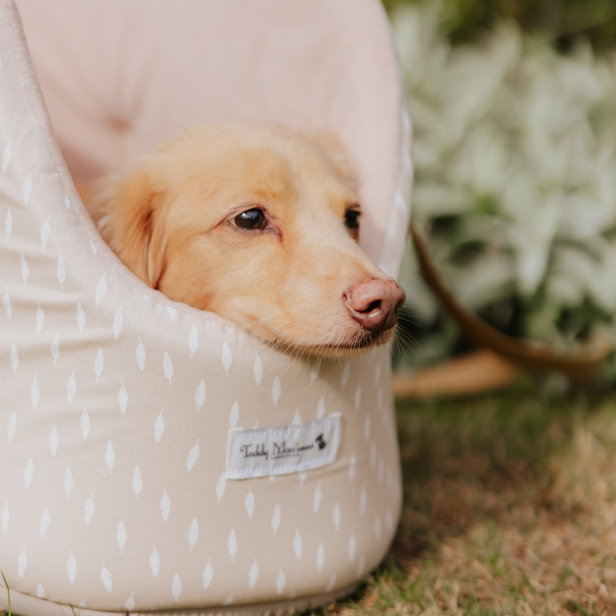 ‘Gentle Nest’ Feather Print Taupe Dog Carrier