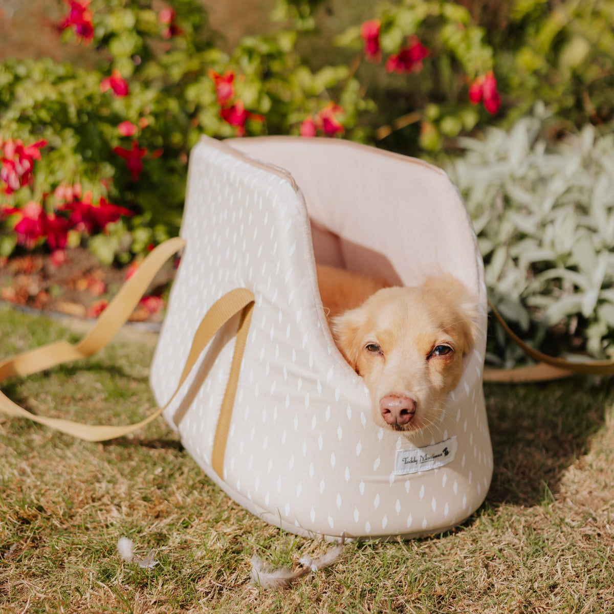 ‘Gentle Nest’ Feather Print Taupe Dog Carrier