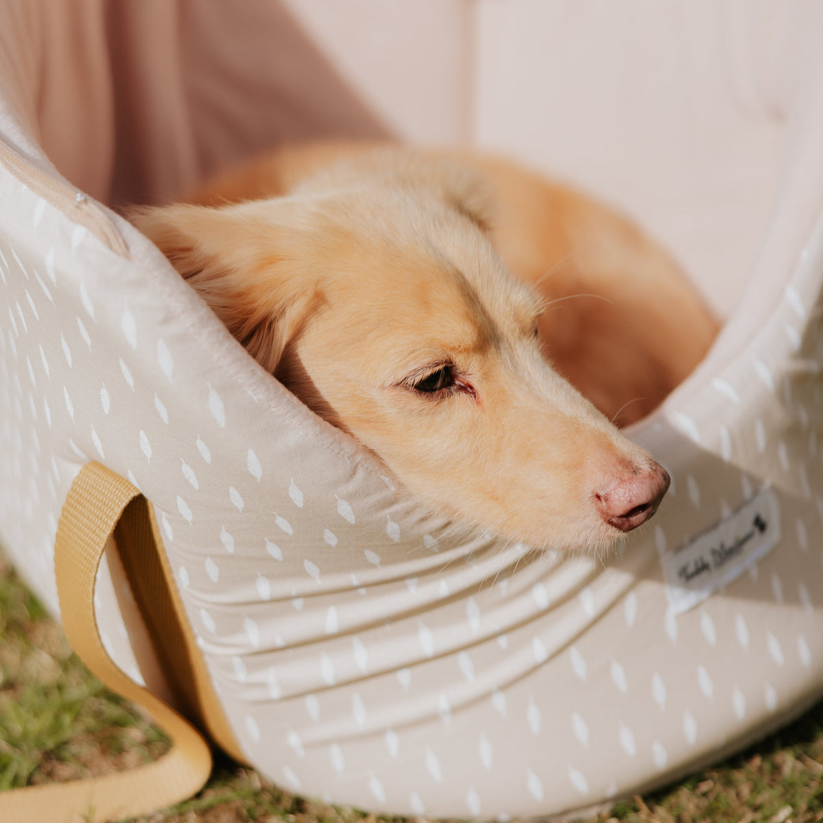 ‘Gentle Nest’ Feather Print Taupe Dog Carrier