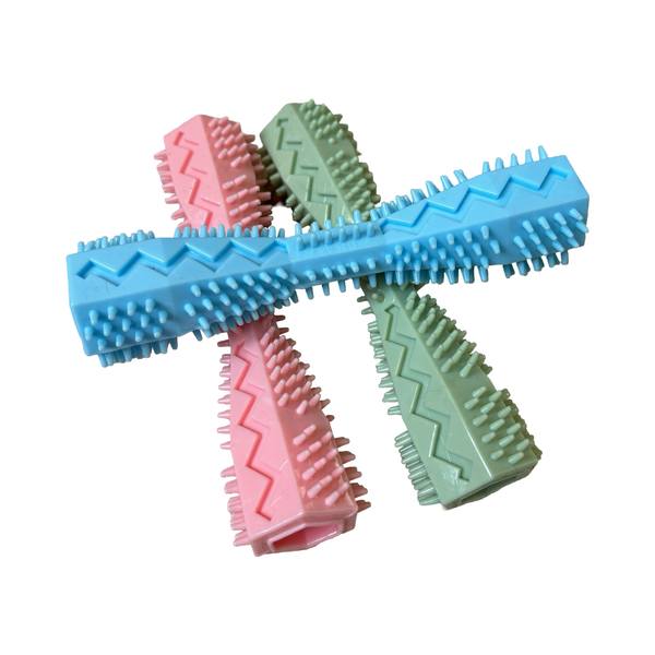 Toothbrush Chew Toy– Teddy Maximus