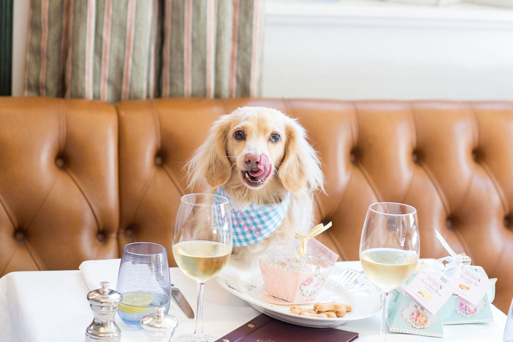 Fifty Cheyne x Teddy Maximus Turquoise Gingham Neckerchief