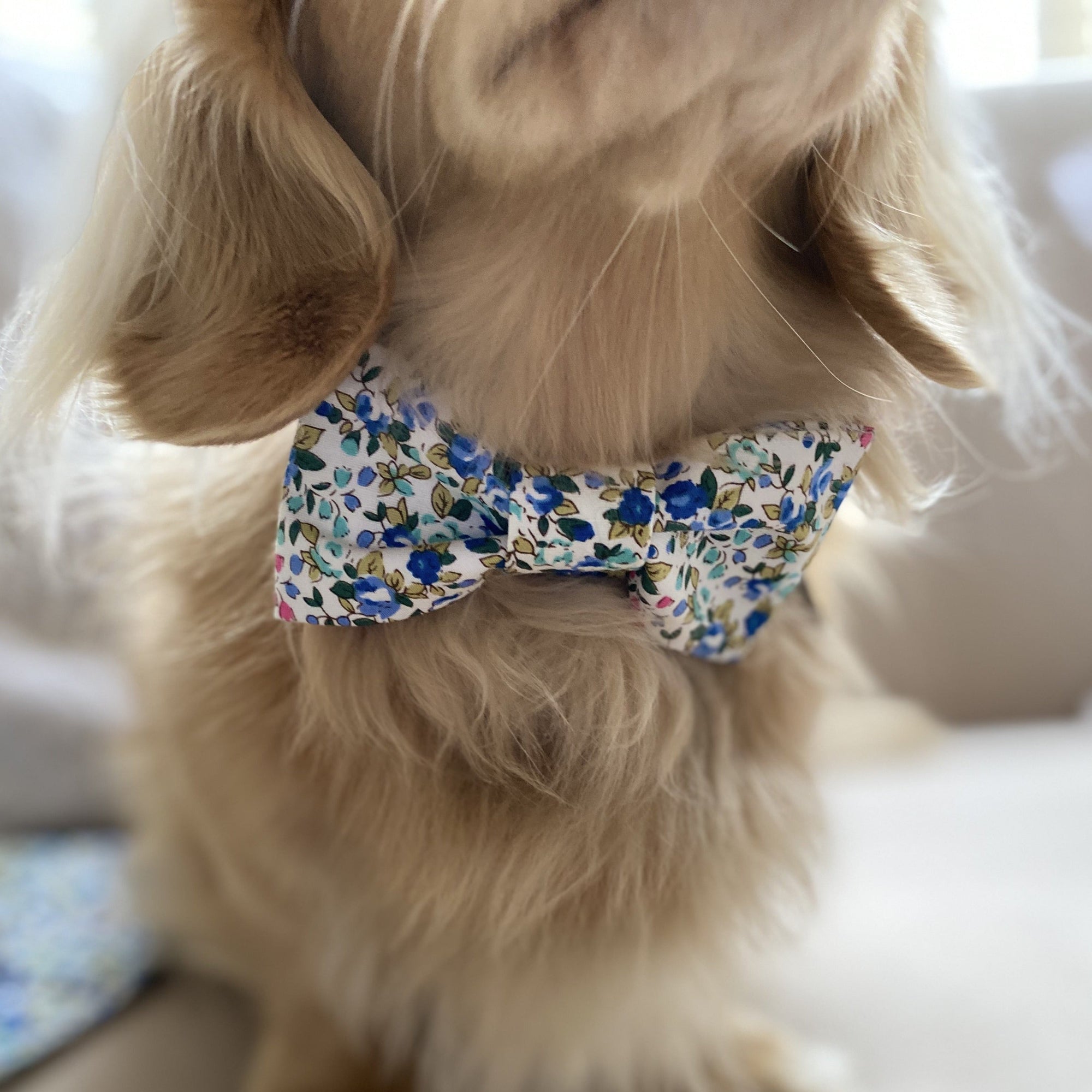 Floral Dog Bow Tie