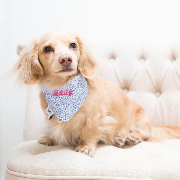 Liberty Print 'London' Dog Neckerchief