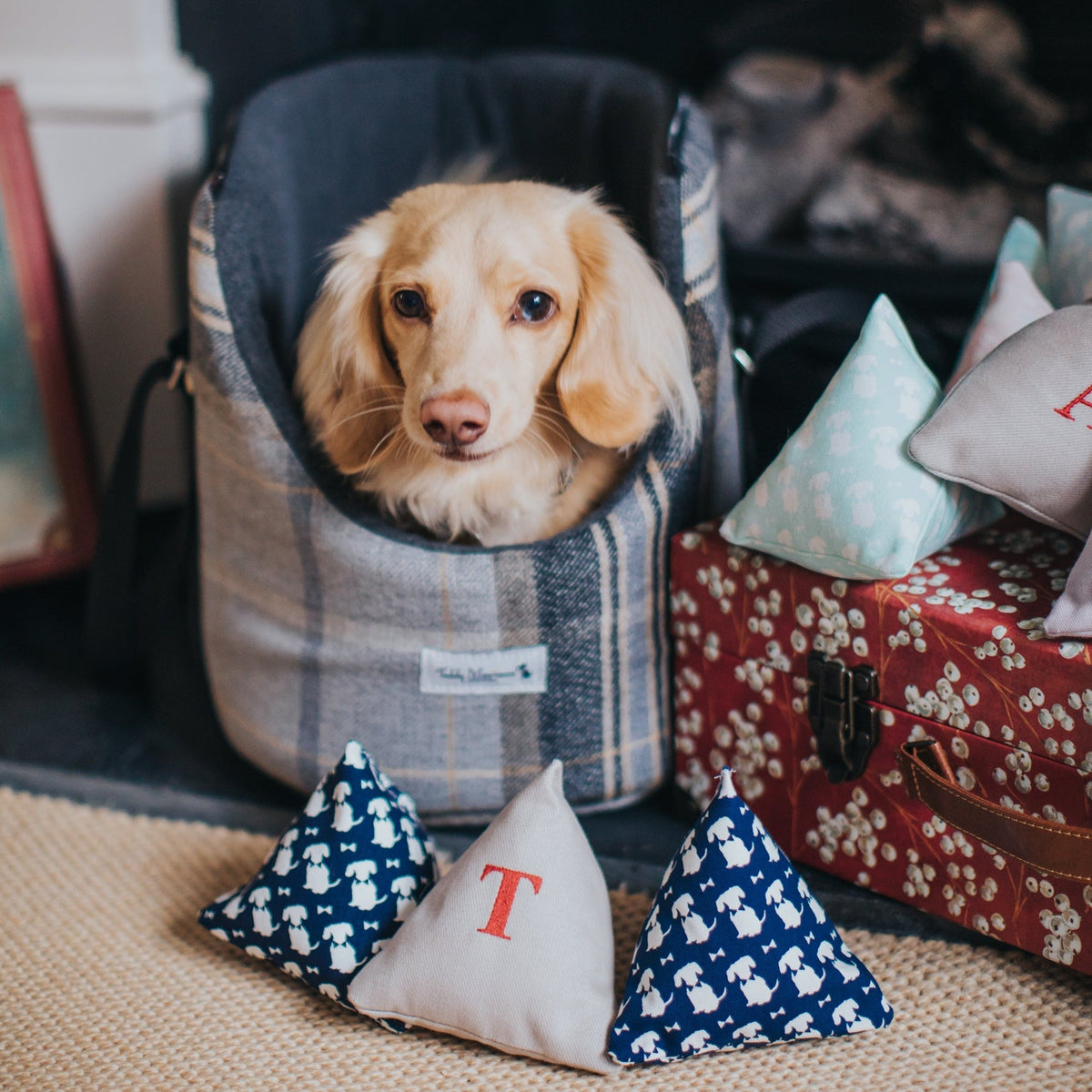 Navy Personalised Pods for Dogs