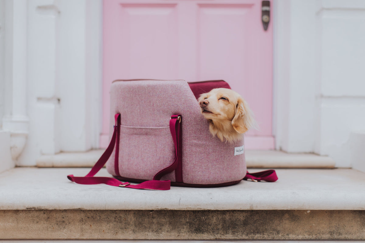 Pink Herringbone Dog Carrier NEW!!
