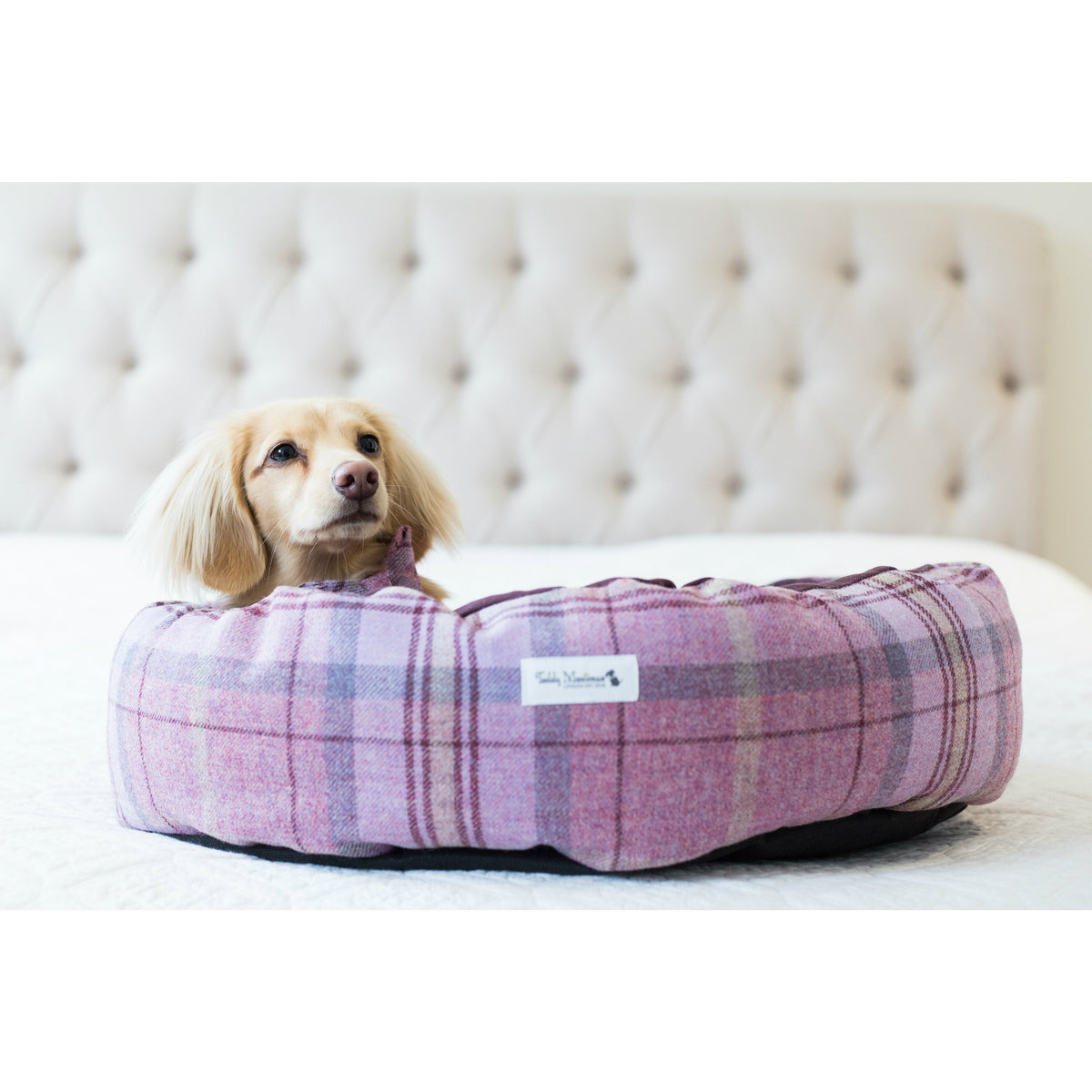Pink Shetland Wool Cocoon Dog Bed Pink Shetland Wool