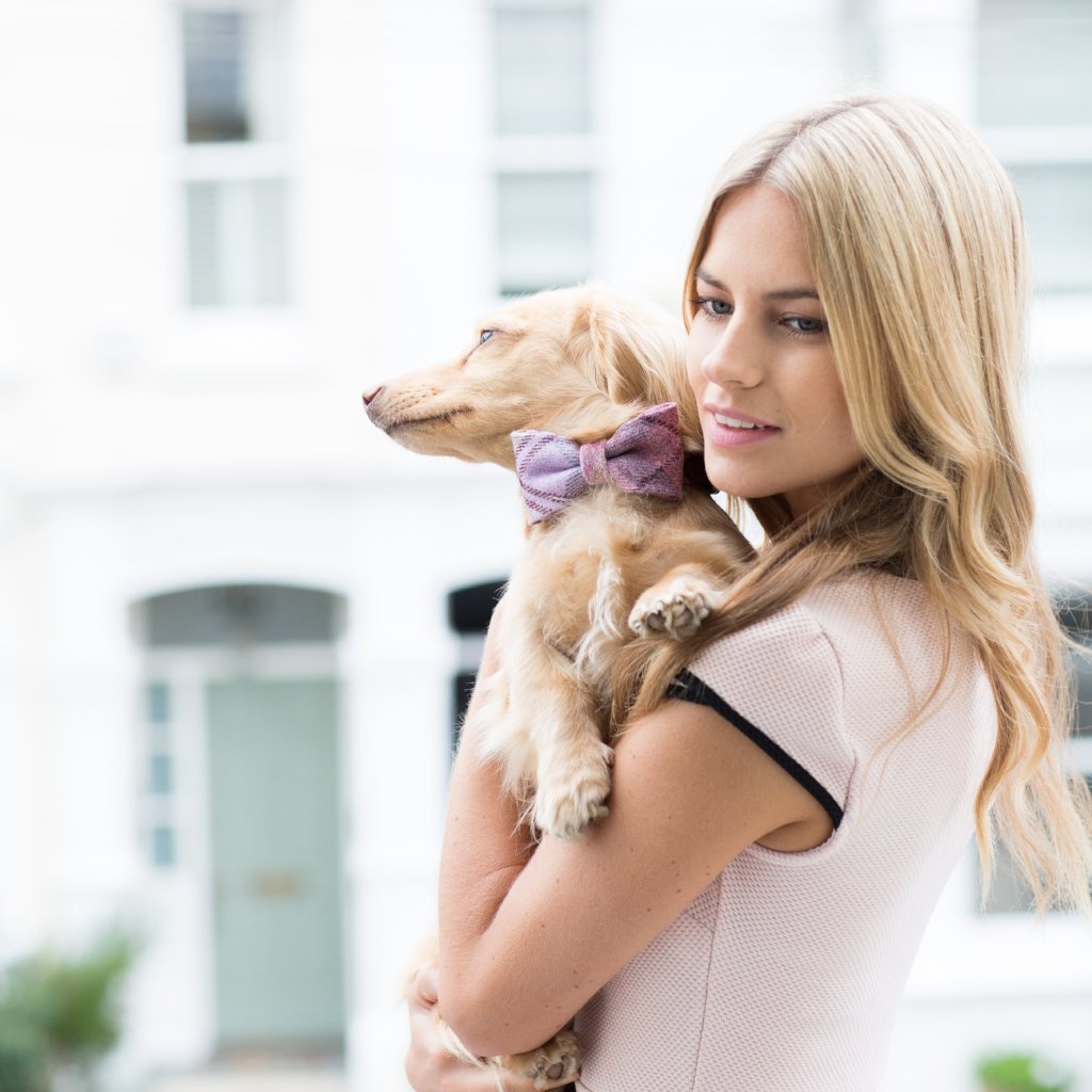 Pink Shetland Wool Dog Bow Tie
