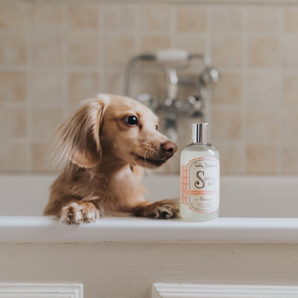 &#39;Sooo Soft&#39; Dog Shampoo by Teddy Maximus