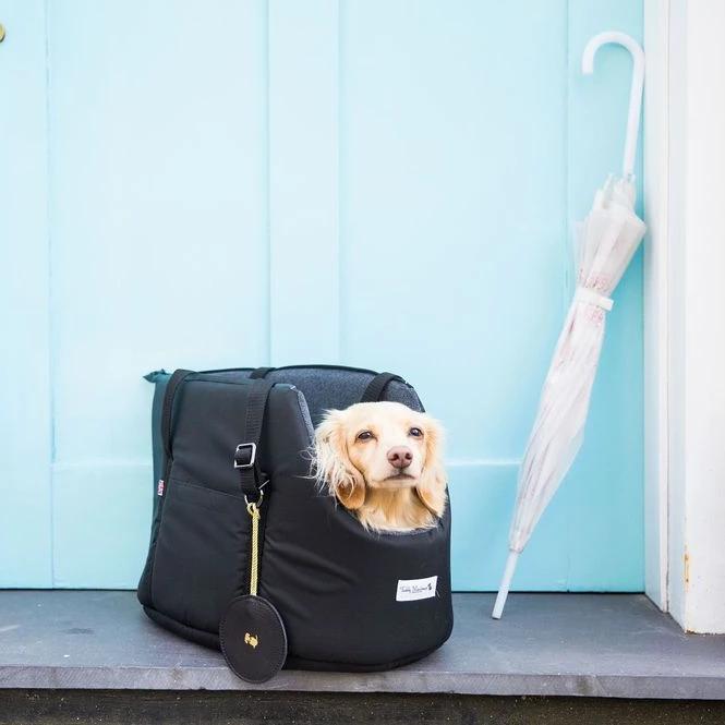 Designer Dog Carriers to Transport Your Dog in Luxury - Chelsea Dogs Blog