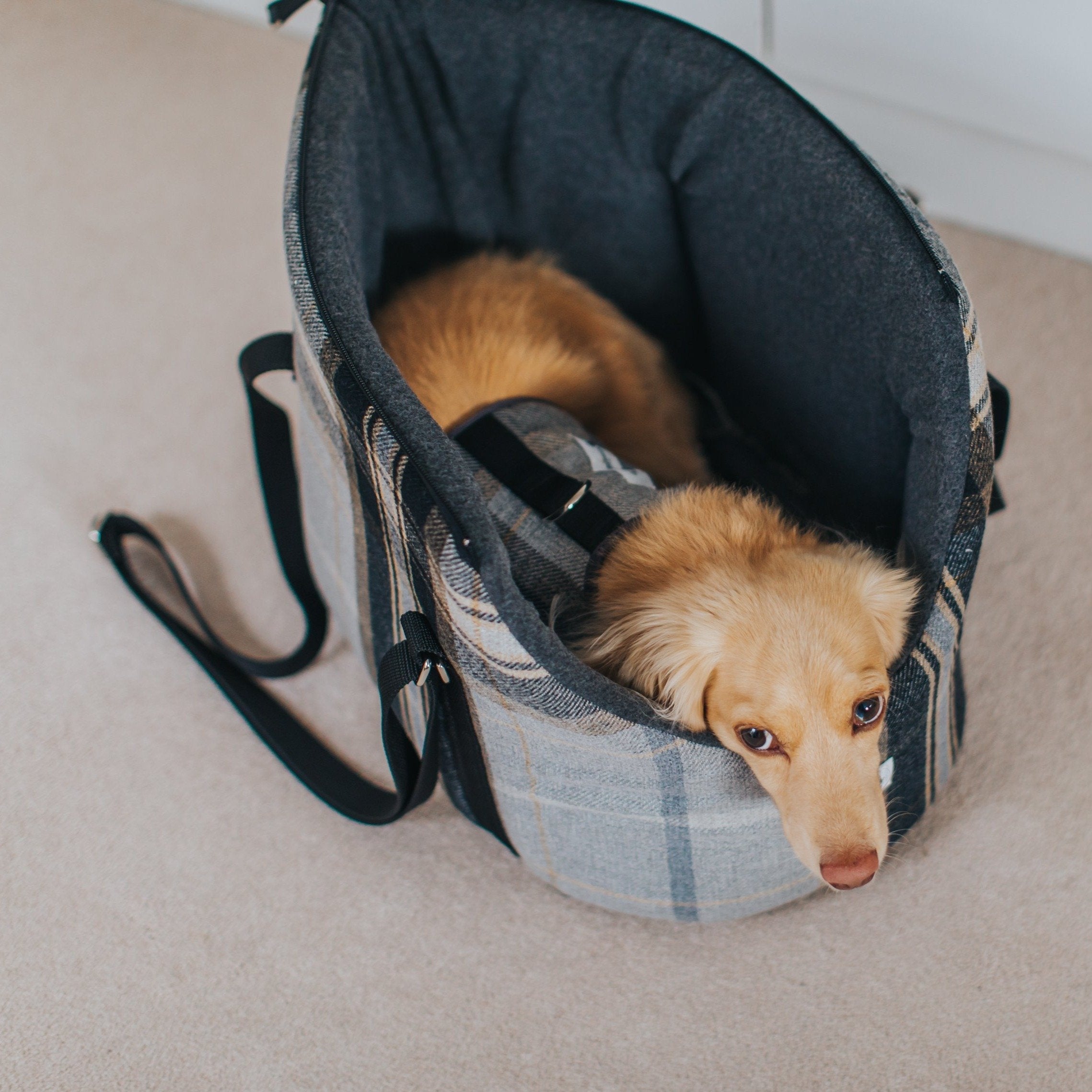 Dog carrier best sale uk