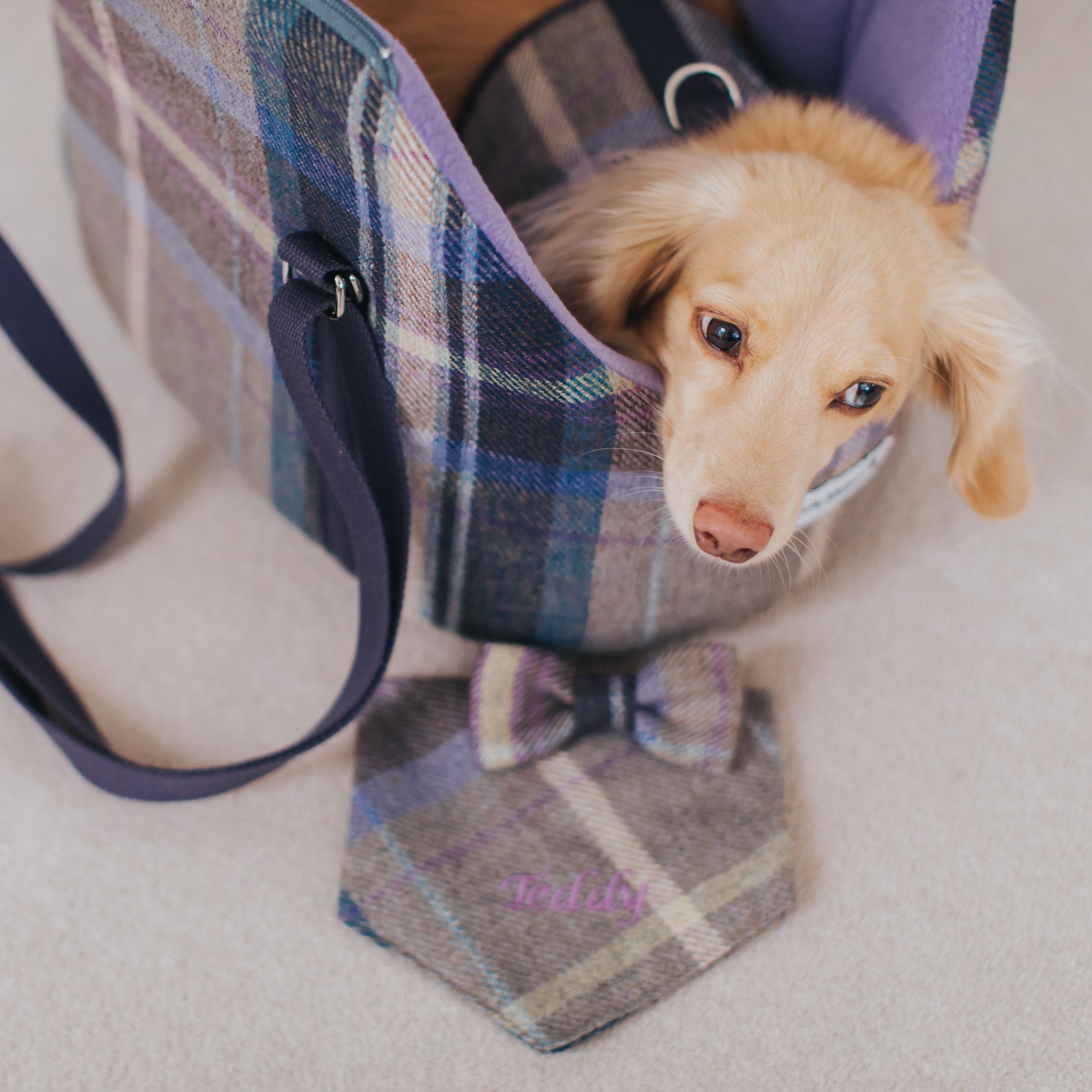 Tweed Tartan Bow Tie Dog Collar With Matching Leash - Lazy Pets Store