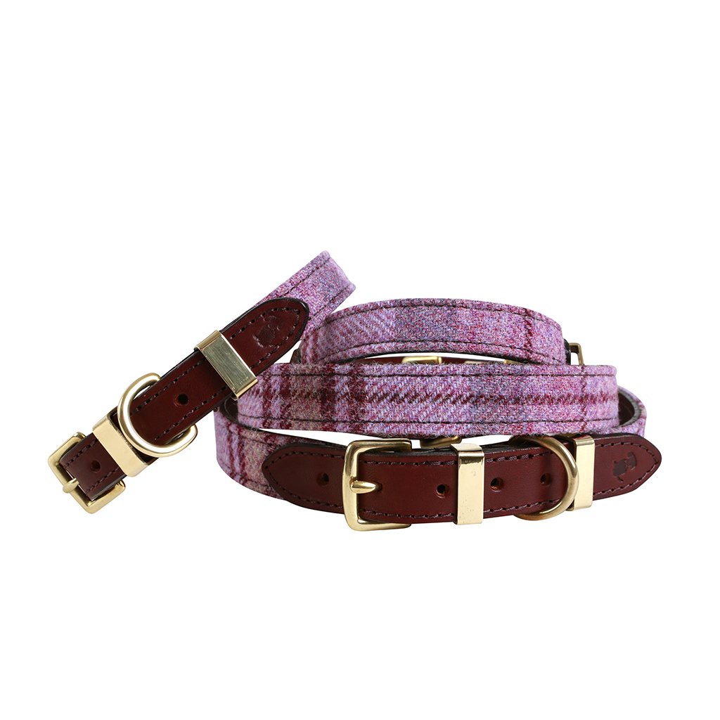 'The Cromwell' Pink Shetland Wool Dog Collar