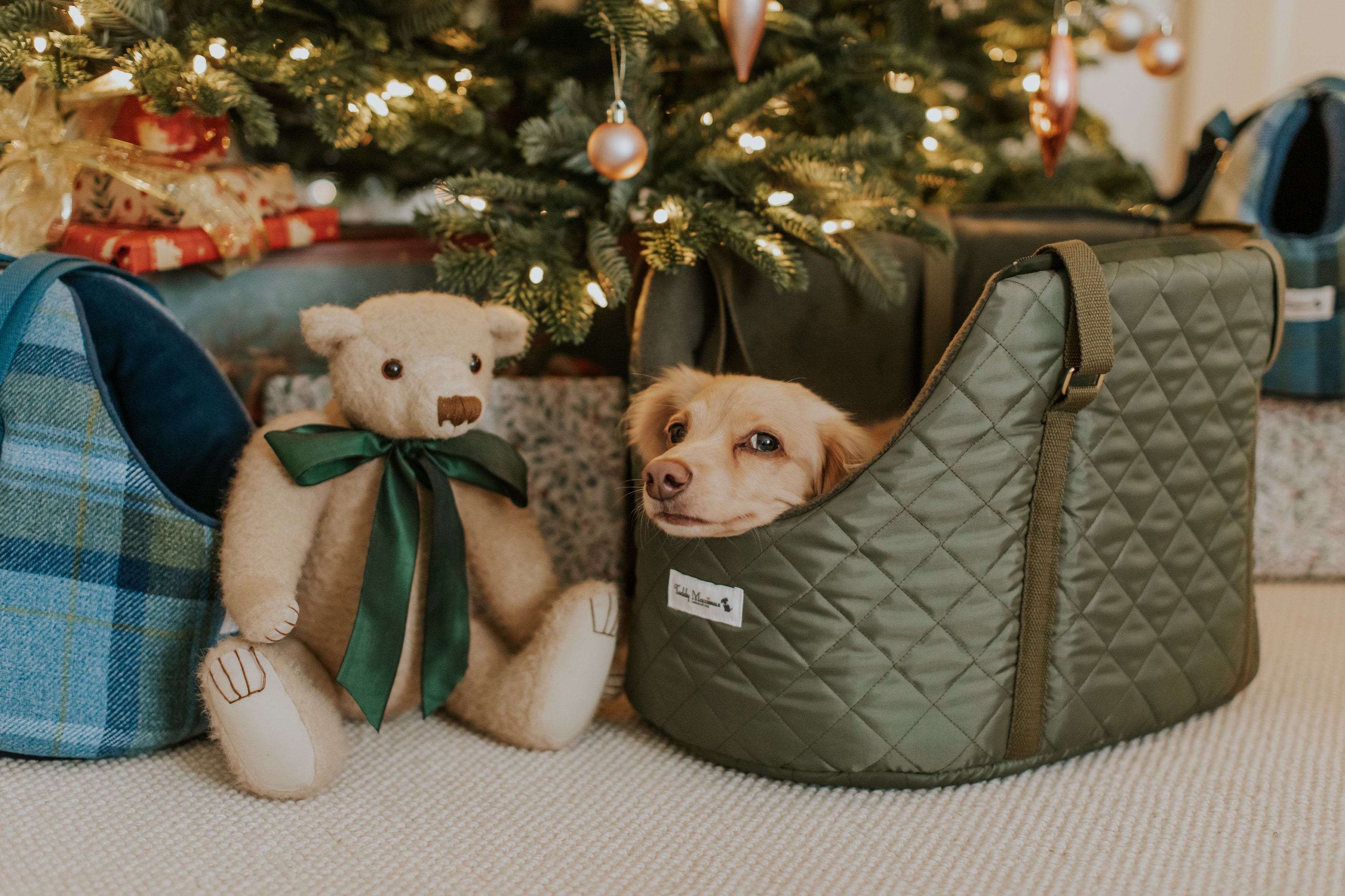The Explorer' Quilted Comfort Luxury Dog Carrier NEW!!– Teddy Maximus