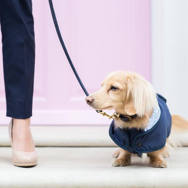 'The Hattie' Rolled Leather Dog Lead (sold out)