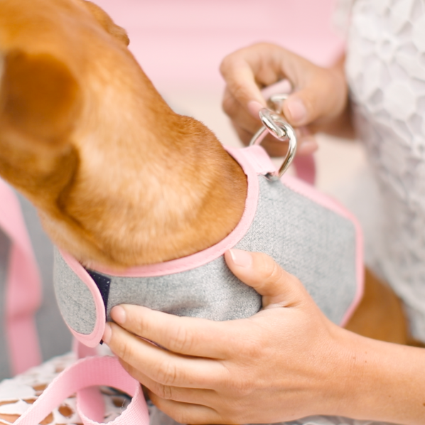 &#39;The Melody&#39; Pink &amp; Grey Dog Harness