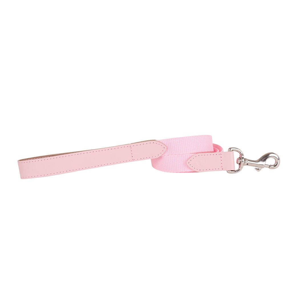 &#39;The Melody&#39; Pink Webbing Dog Lead