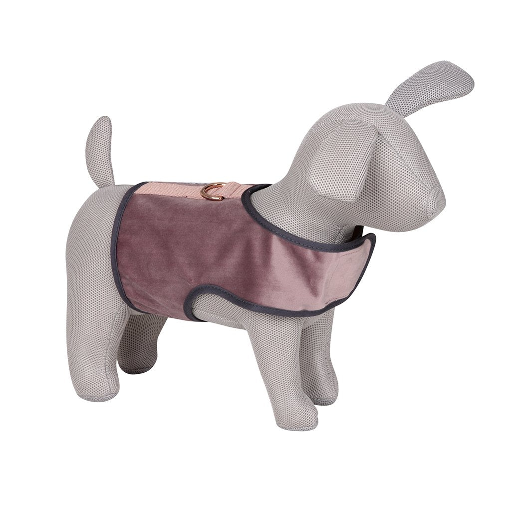 'The Queen Bee' Dusky Pink Harness