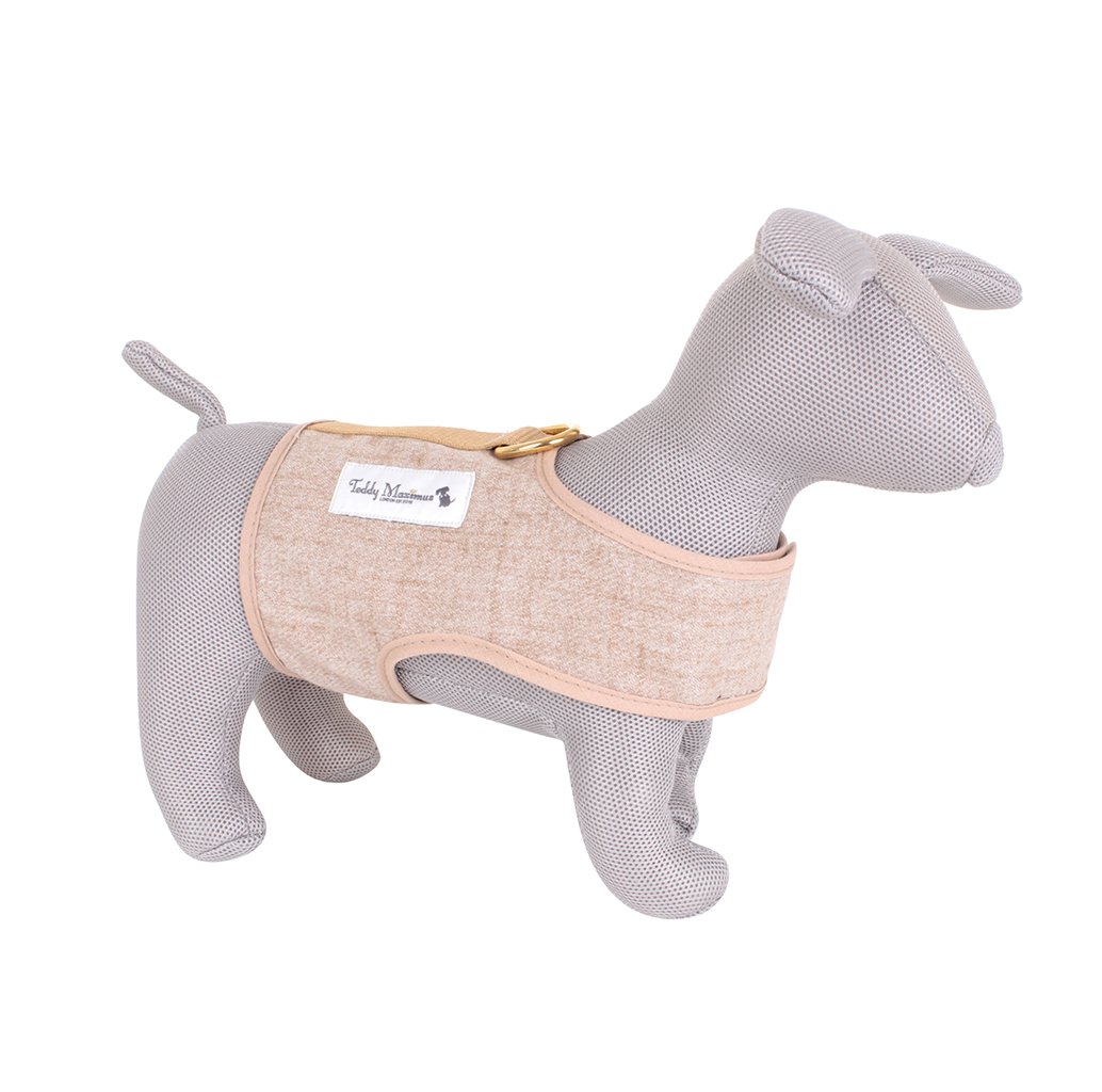 &#39;The Richmond&#39; Biscuit Dog Harness