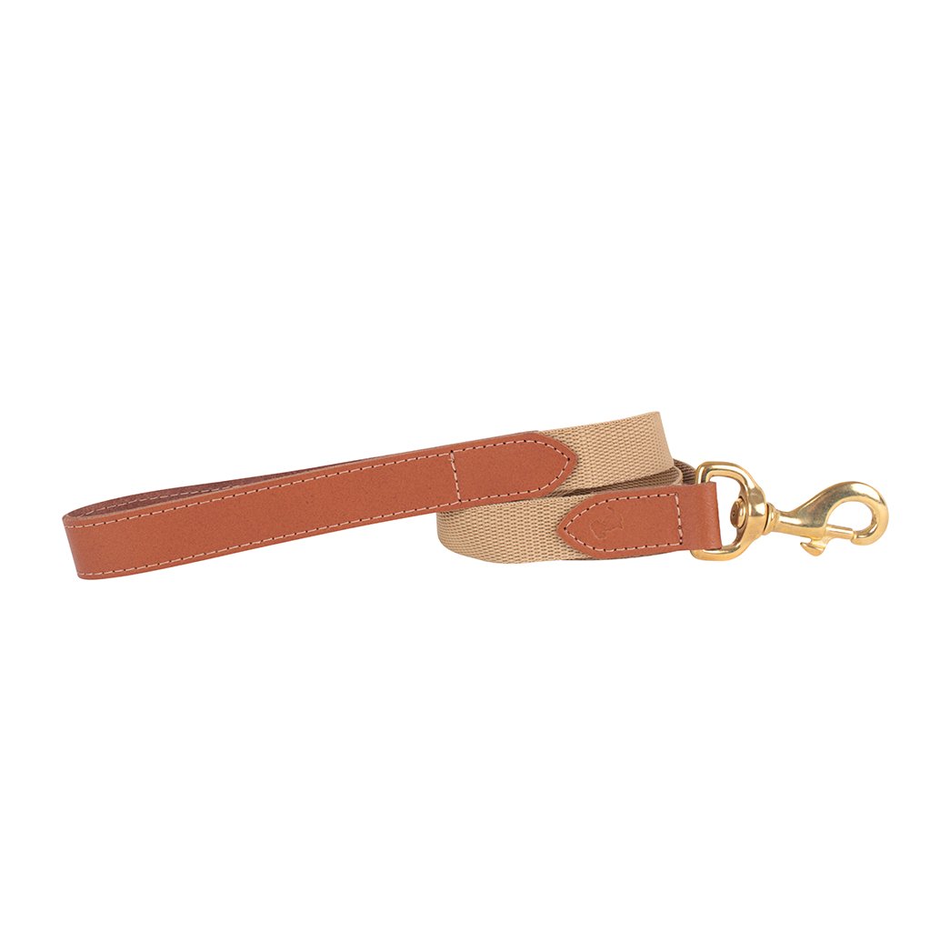 'The Richmond' Tan Collar