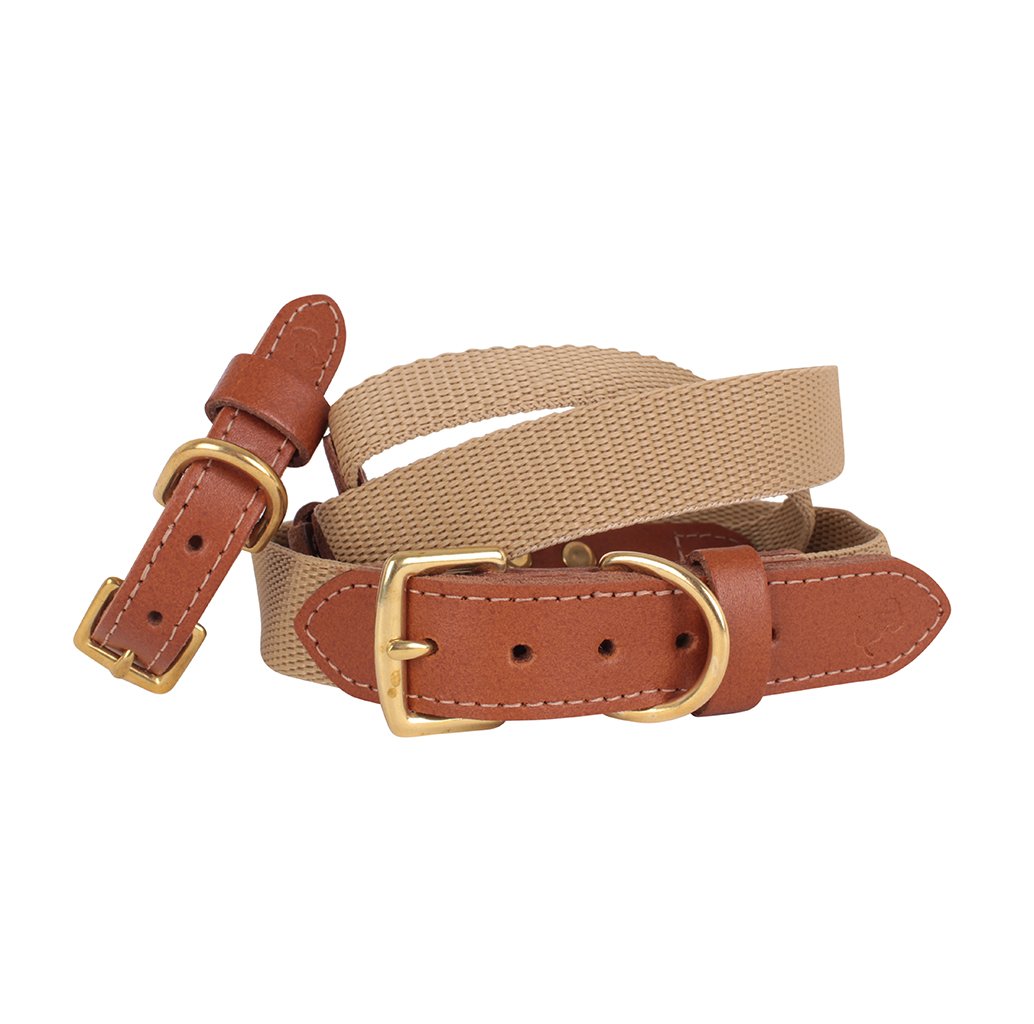 'The Richmond' Tan Collar
